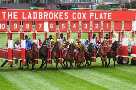 punters club|Our Racing Punters Clubs .